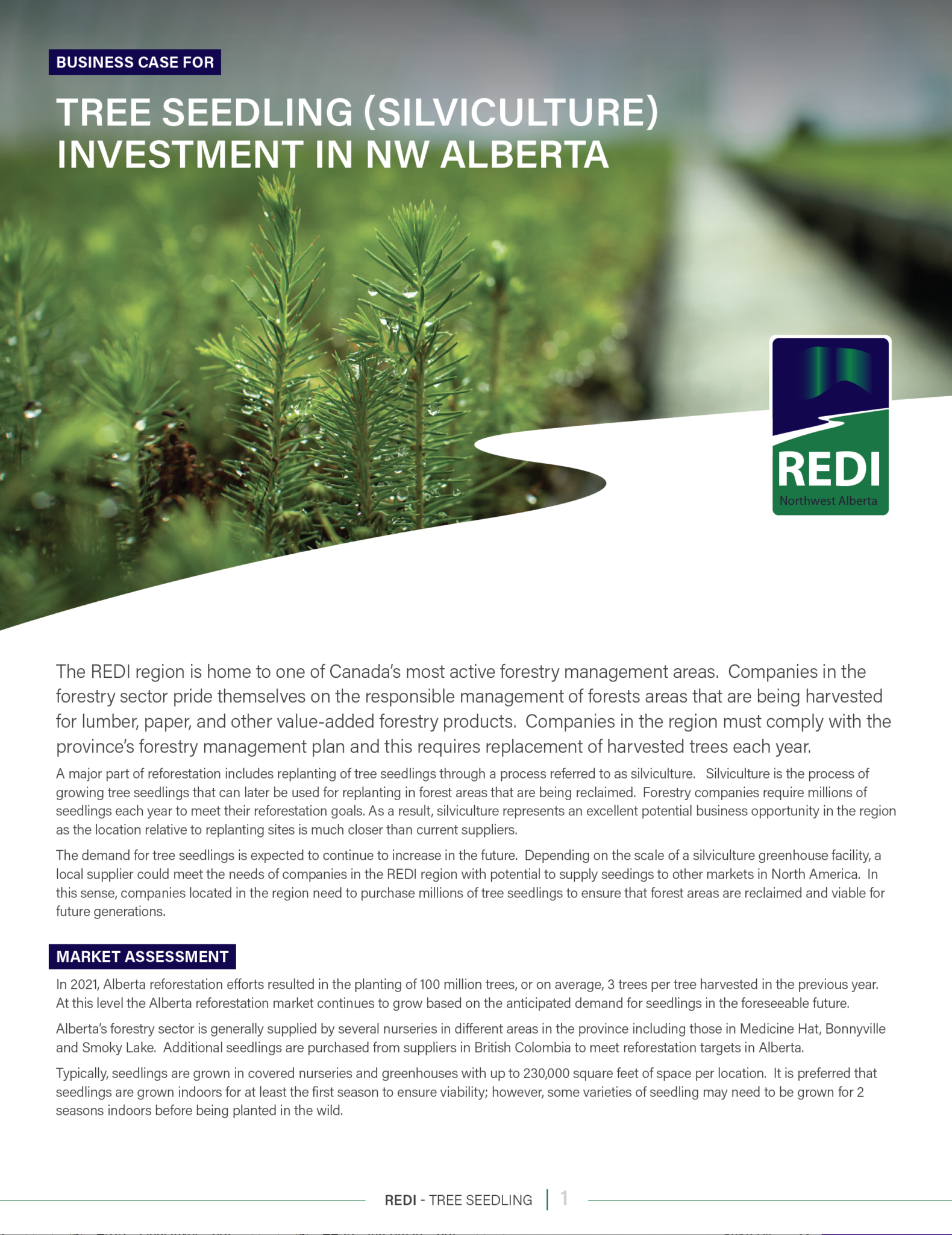 treeseedlings
